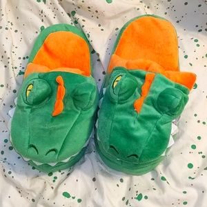 New dinosaur slippers